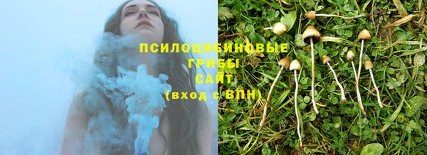 MESCALINE Карпинск