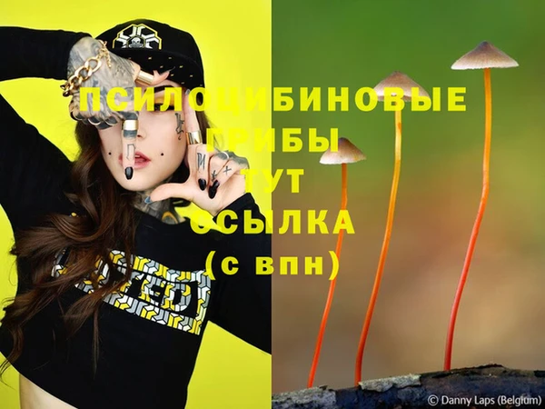 каннабис Касимов